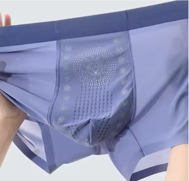 PACK 4 BOXERS SOIE HOMMES