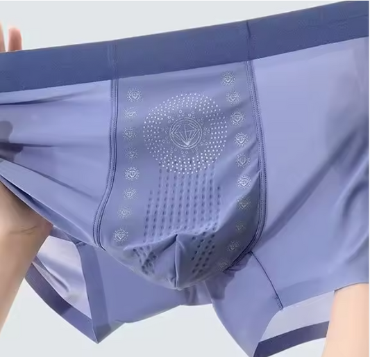 PACK 4 BOXERS SOIE HOMMES